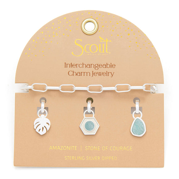 Interchangable Collection